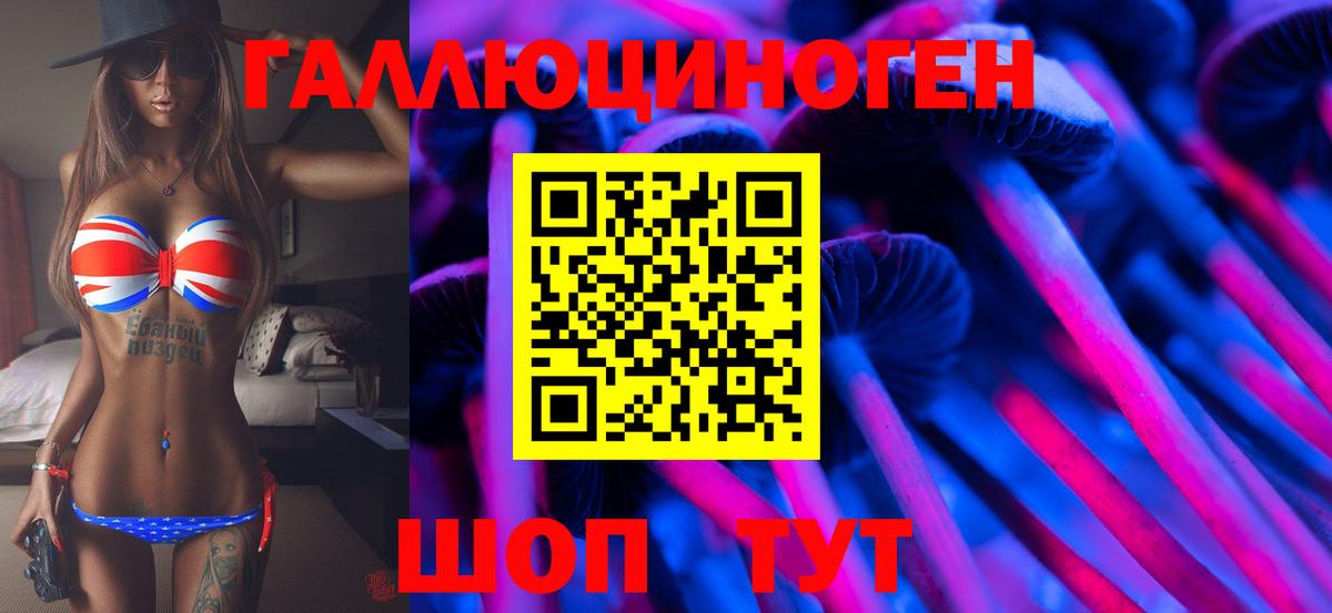 Псилоцибиновые грибы Psilocybine cubensis  Вход с VPN  Киселёвск 